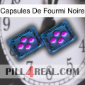 Black Ant Capsules 03